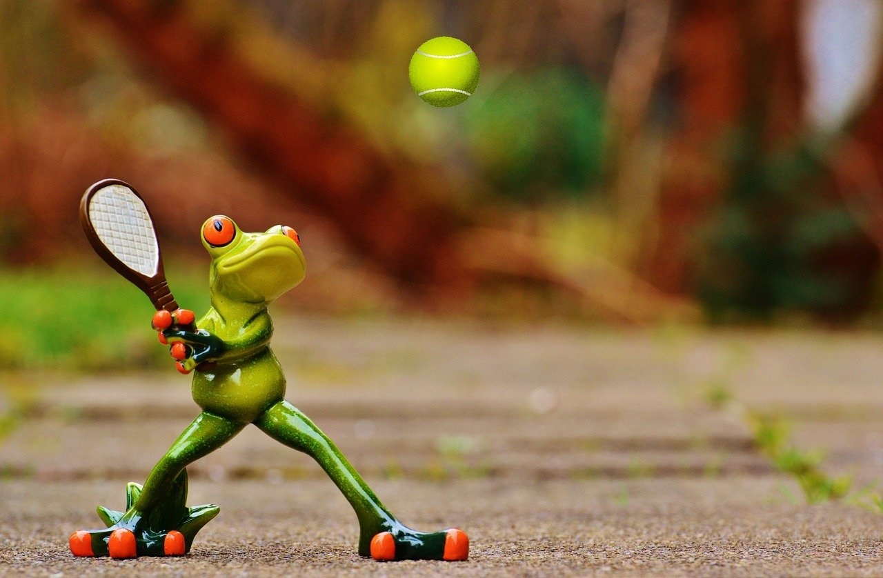 Tennis-Ratgeber Tennis-Ratgeber